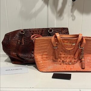 Brahmin Vibrant Orange and Rich Brown Tote Set
